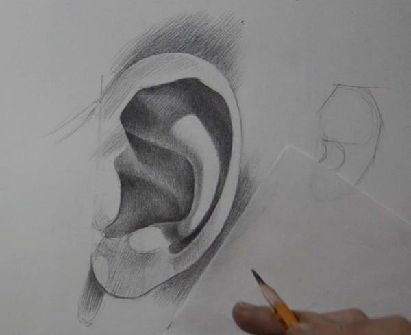 Orecchio - disegno passo dopo passo per bambini con matita