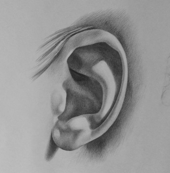 Orecchio - disegno passo dopo passo per bambini con matita