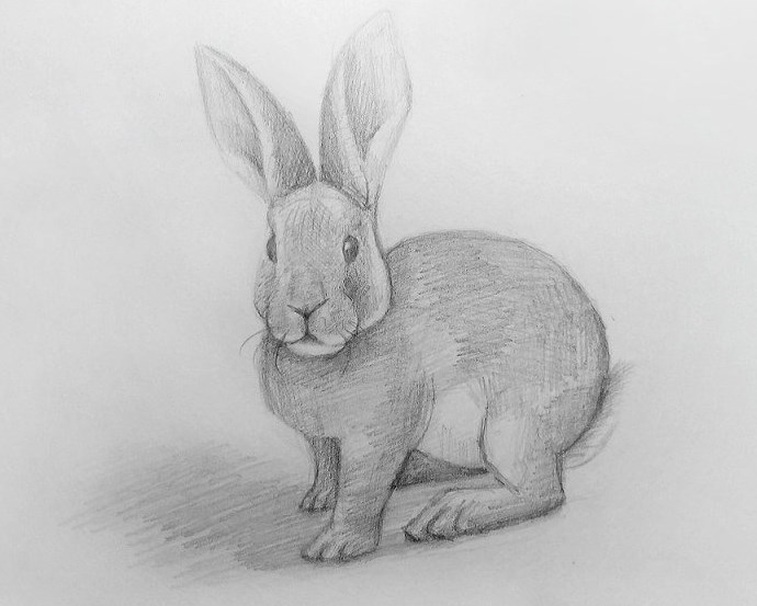 Grafische Zeichnungen mit Bleistift für Anfänger Schritt für Schritt
