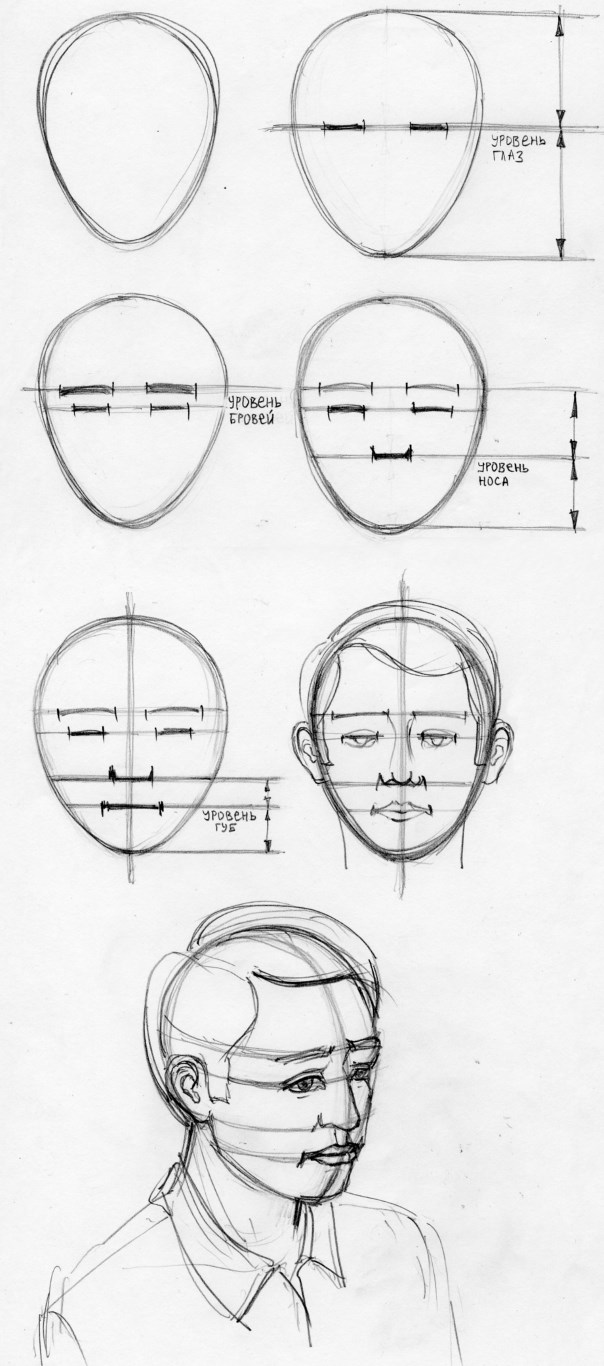 Proportionen eines menschlichen Gesichts zum Zeichnen eines Porträts mit einem Bleistift. Schema