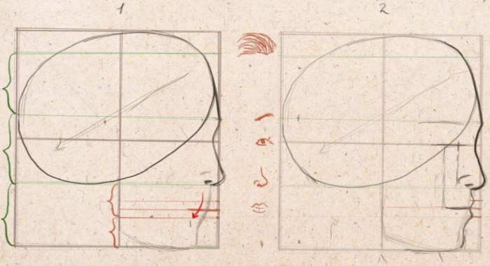 Proportionen eines menschlichen Gesichts zum Zeichnen eines Porträts mit einem Bleistift. Schema