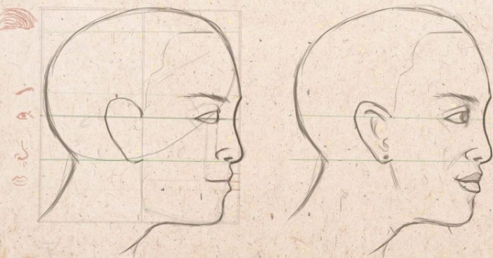 Proportionen eines menschlichen Gesichts zum Zeichnen eines Porträts mit einem Bleistift. Schema