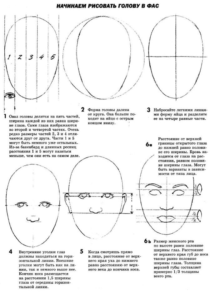 Proportionen eines menschlichen Gesichts zum Zeichnen eines Porträts mit einem Bleistift. Schema