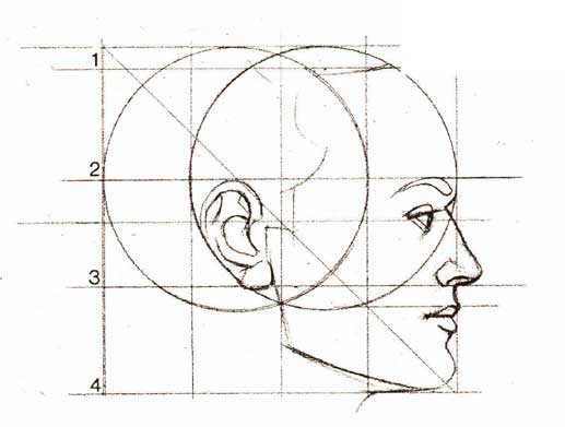 Proportionen eines menschlichen Gesichts zum Zeichnen eines Porträts mit einem Bleistift. Schema