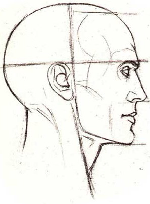 Proportionen eines menschlichen Gesichts zum Zeichnen eines Porträts mit einem Bleistift. Schema