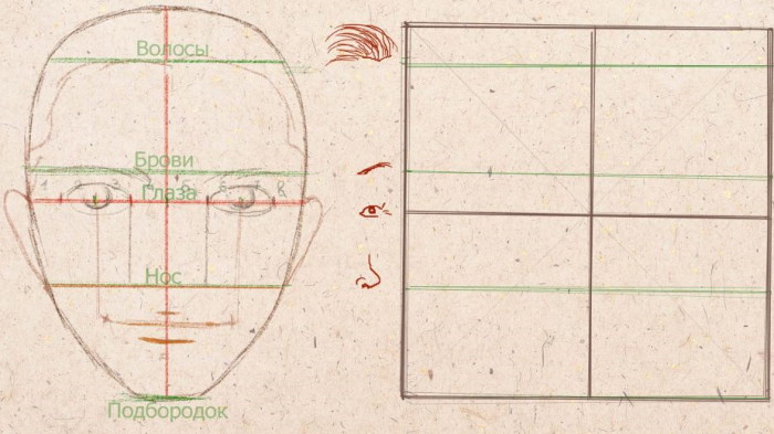 Proportionen eines menschlichen Gesichts zum Zeichnen eines Porträts mit einem Bleistift. Schema