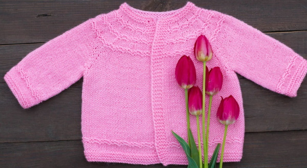 Gestrickte Bluse für Mädchen im Alter von 1–2 Jahren. Beschreibung, Diagramme