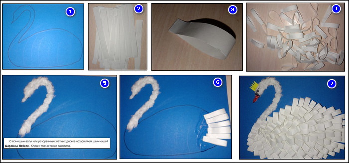 Volumetrische Applikation Schwan