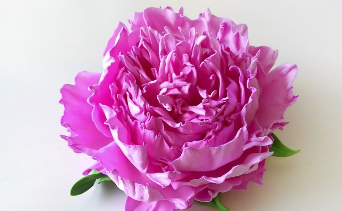 Blumen aus Foamiran. Pfingstrose