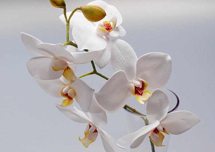 Orchidee aus Glitzer-Foamiran