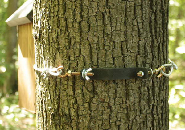 Vogelhäuschen aus Holz, Pappe und Restmaterialien mit eigenen Händen hergestellt. Zeichnungen