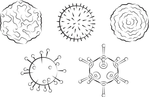 Zeichenvirus. Wie man Schritt für Schritt mit einem Bleistift für Anfänger zeichnet