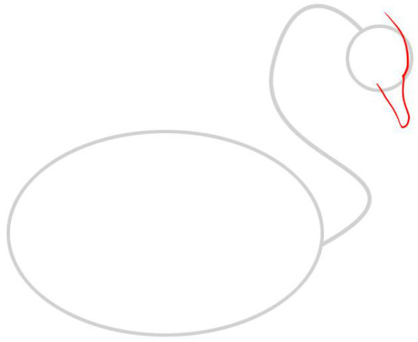 Wie man einen Schwan mit einem Bleistift für Kinder Schritt für Schritt zeichnet