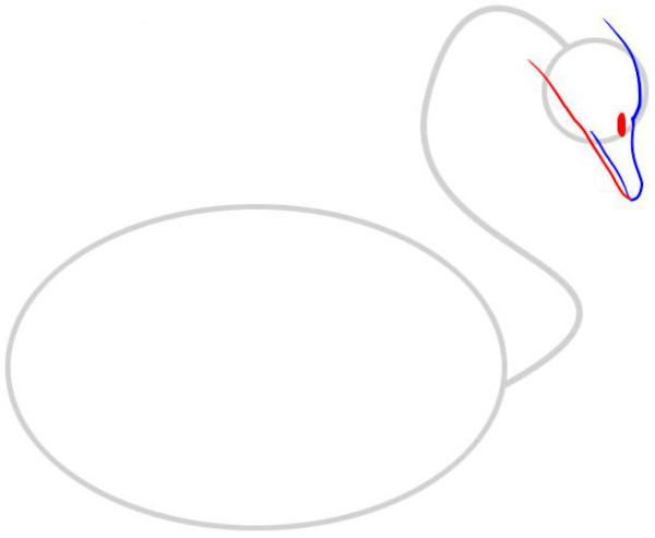 Wie man einen Schwan mit einem Bleistift für Kinder Schritt für Schritt zeichnet