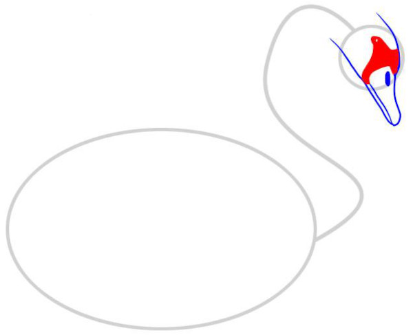Wie man einen Schwan mit einem Bleistift für Kinder Schritt für Schritt zeichnet