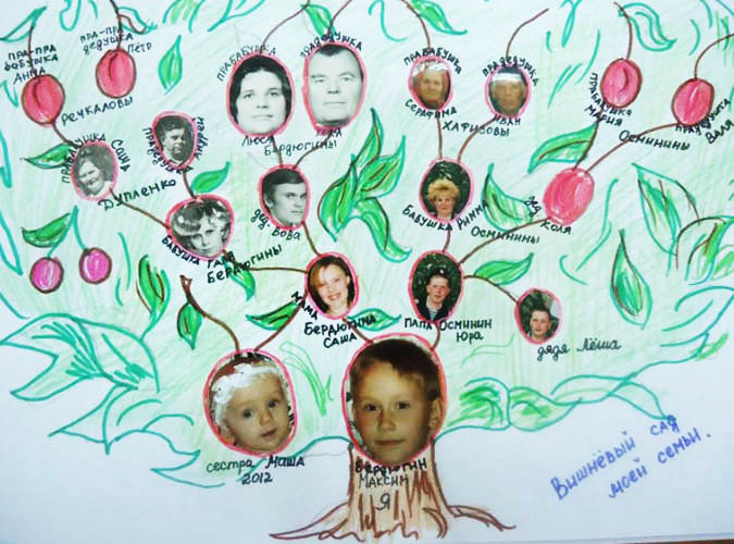 Lebensbaum zeichnen mit Bleistift, einfache Farben