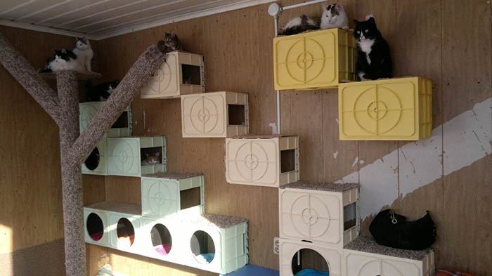 Selbstbaubarer Spielkomplex für Katzen mit Kratzbaum. Zeichnungen