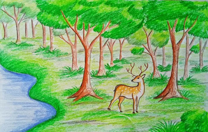 Wie man einen Wald mit Gouache, Farben, Bleistift in der Ferne zeichnet