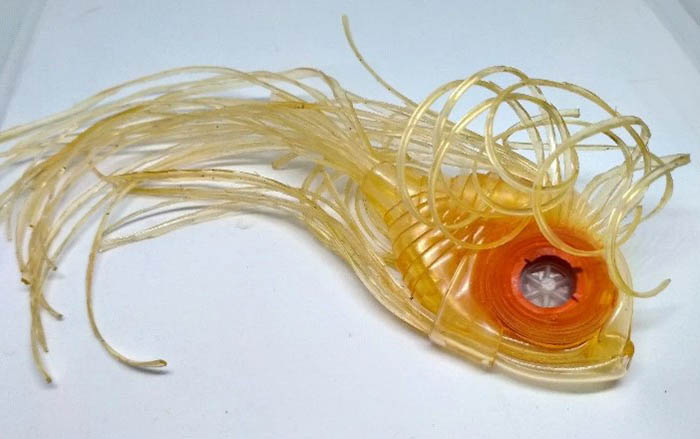 Fisch aus einer Pipette. Zubereitung, Anleitung