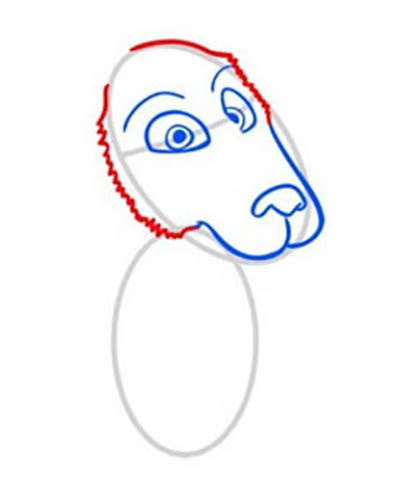 Hasen-Cartoon-Zeichnung, Bilder auf weißem, transparentem Hintergrund