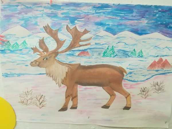 Tundra-Zeichnung für Kinder der 4. Klasse Die Welt um uns herum