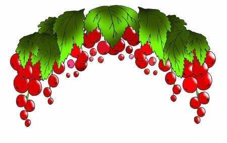 Immagini di viburno per bambini 80 disegni
