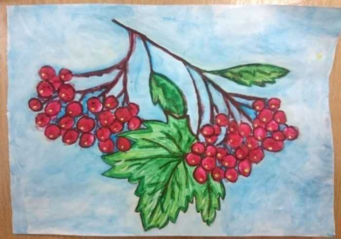 Immagini di viburno per bambini 80 disegni