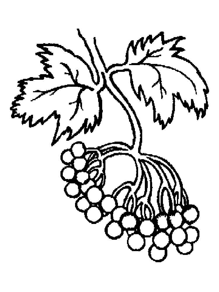 Immagini di viburno per bambini 80 disegni