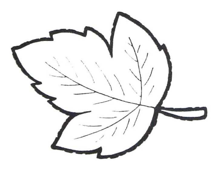 Immagini di viburno per bambini 80 disegni