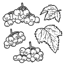 Immagini di viburno per bambini 80 disegni