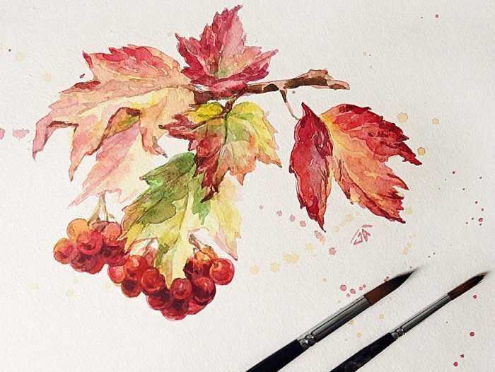 Immagini di viburno per bambini 80 disegni