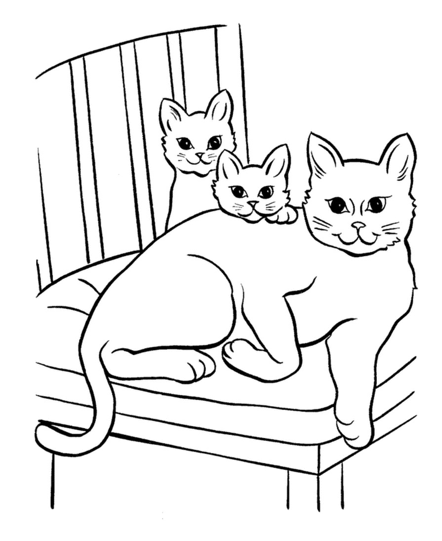 Katzen Malvorlagen für Kinder 50 Bilder