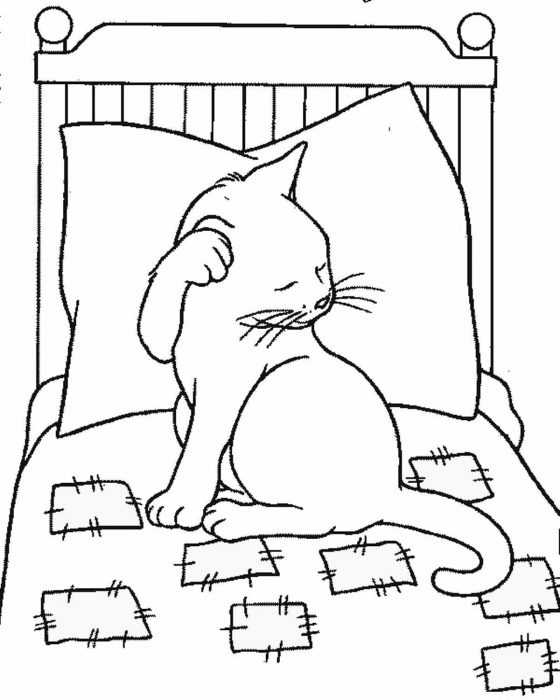 Katzen Malvorlagen für Kinder 50 Bilder