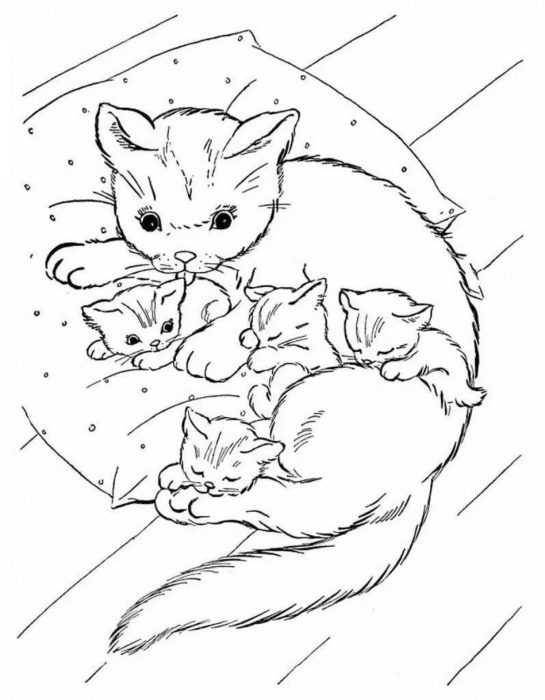 Katzen Malvorlagen für Kinder 50 Bilder