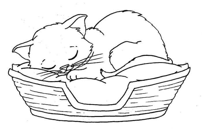 Katzen Malvorlagen für Kinder 50 Bilder