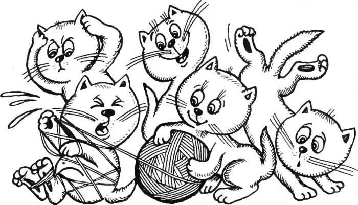 Katzen Malvorlagen für Kinder 50 Bilder