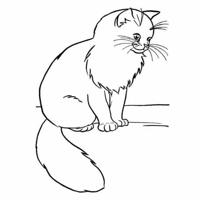 Katzen Malvorlagen für Kinder 50 Bilder