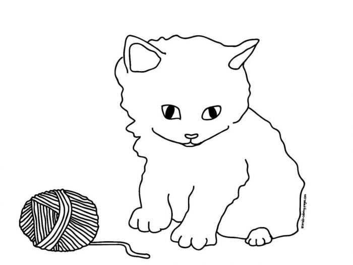 Katzen Malvorlagen für Kinder 50 Bilder
