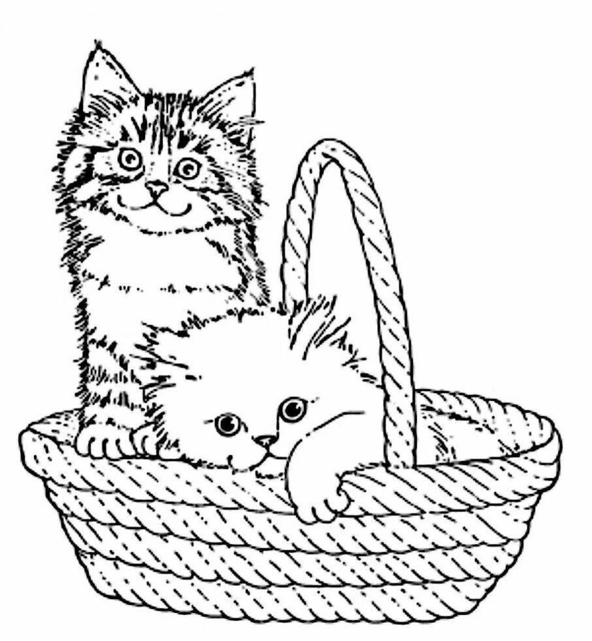Katzen Malvorlagen für Kinder 50 Bilder
