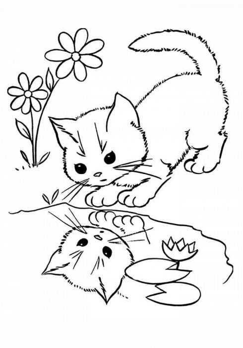 Katzen Malvorlagen für Kinder 50 Bilder