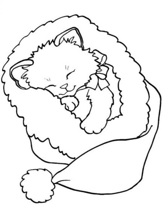 Katzen Malvorlagen für Kinder 50 Bilder