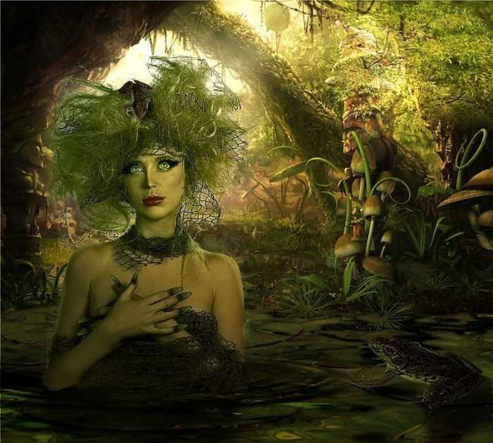 Kikimora Fotosumpf 85 Bilder, Zeichnungen
