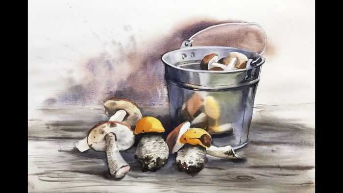 Pilze Zeichnungen mit Bleistift, Aquarell 70 Bilder