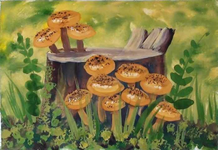 Pilze Zeichnungen mit Bleistift, Aquarell 70 Bilder