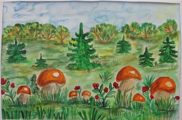 Pilze Zeichnungen mit Bleistift, Aquarell 70 Bilder