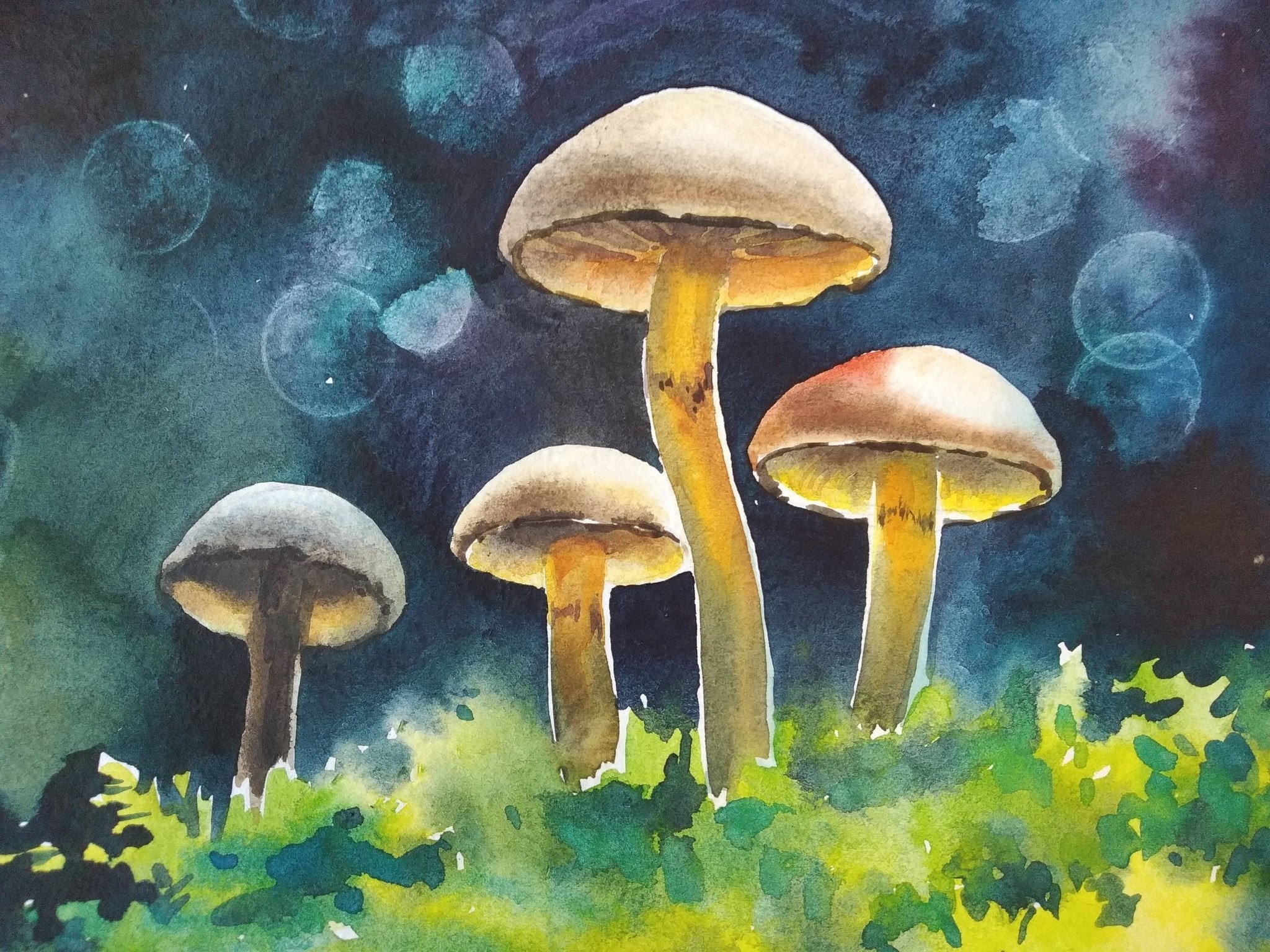 Pilze Zeichnungen mit Bleistift, Aquarell 70 Bilder