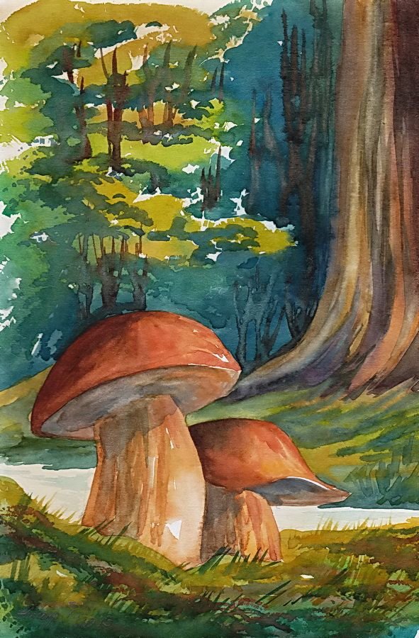 Pilze Zeichnungen mit Bleistift, Aquarell 70 Bilder