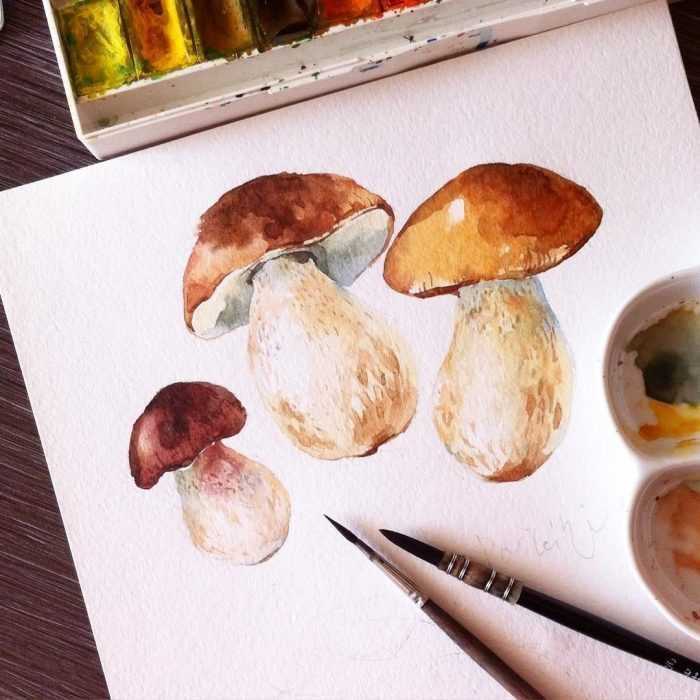 Pilze Zeichnungen mit Bleistift, Aquarell 70 Bilder