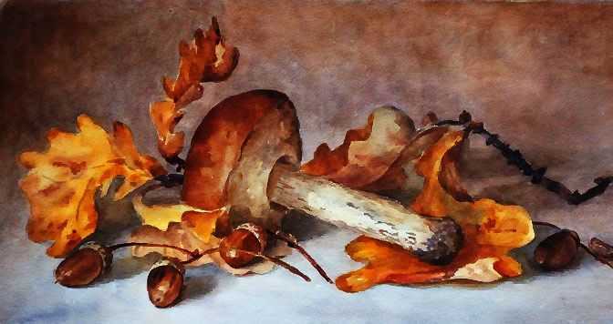 Pilze Zeichnungen mit Bleistift, Aquarell 70 Bilder