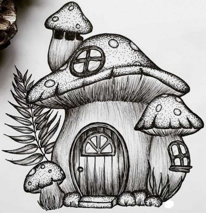 Pilze Zeichnungen mit Bleistift, Aquarell 70 Bilder